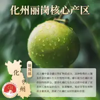花姿盛化橘红切片品质展示