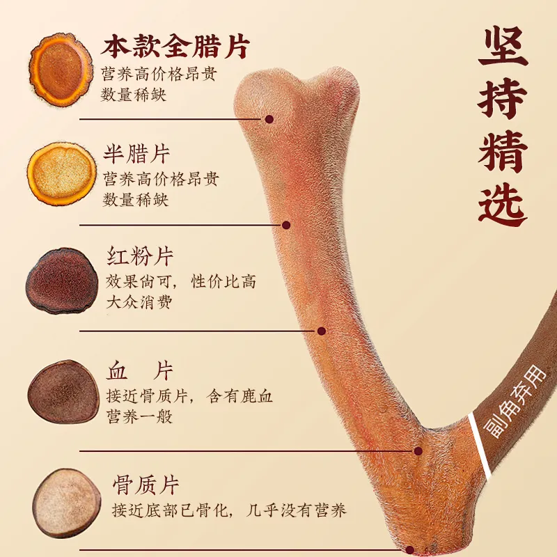 花姿盛鹿茸蜡片薄如蝉翼细节特写